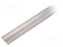 Profiles for LED modules; surface; natural; L: 1m; aluminium