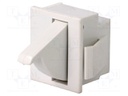 Switch: door; Pos: 2; SPDT; 5A/250VAC; Leads: 4,8x0,5mm connectors