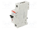 Circuit breaker; 230VAC; 220VDC; Inom: 32A; Poles: 1; Charact: B