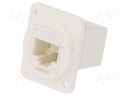 Coupler; FT; Cat: 6; Layout: 8p8c; RJ45 socket,both sides; 19x24mm