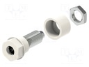 Socket; 4mm banana; 36A; 30VAC; 60VDC; Cutout: Ø6mm; white