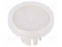 Actuator lens; 22mm; 61; Colour: transparent; Mat: plastic; Ø19.7mm