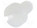 Screw; M2,5x4; DIN: 84; Head: cheese head; slotted; polyamide; 0,6mm