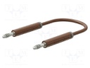 Test lead; 60VDC; 30VAC; 19A; banana plug 4mm,both sides; Len: 1m