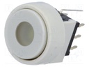 Switch: keypad; Pos: 2; DPDT; 0.1A/30VDC; white; Illumin: LED; white