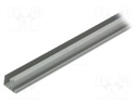 Profiles for LED modules; edge; natural; L: 1m; aluminium