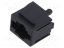 Socket; RJ9; PIN: 4; with panel stop blockade; Layout: 4p4c; THT