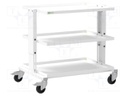 Trolley; ESD; W: 900mm; D: 625mm; steel; light grey; 10kΩ÷100MΩ