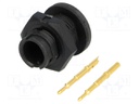 Connector: circular; Series: EN2; socket; male; soldering; PIN: 2; 7A