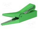 Crocodile clip; 10A; green; Grip capac: max.9.5mm