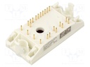 Module: IGBT