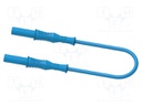 Test lead; 20A; banana plug 4mm,both sides; insulated; Len: 2m