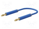 Test lead; 60VDC; 30VAC; 19A; banana plug 4mm,both sides; blue