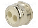 Cable gland