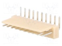 Socket; wire-board; male; NS25; 2.54mm; PIN: 10; THT; 250V; 3A; tinned