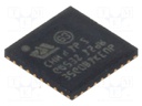 IC: ARM microcontroller