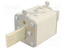 Fuse: fuse; gG; 100A; 500VAC; ceramic,industrial; NH2; WT-NH