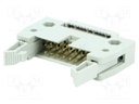 Plug; IDC; male; PIN: 14; IDC; for ribbon cable; 1.27mm; gold-plated