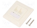 Socket; case; Keystone,unshielded; Colour: white; female
