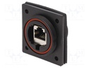 Coupler; Buccaneer Ethernet; PIN: 8; Contacts: phosphor bronze