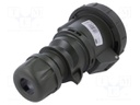 Connector: AC supply 3-phase; socket; female; 32A; 230VAC; IP67