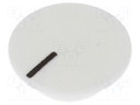 Cap; plastic; push-in; white; Application: K21