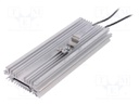 Radiator heater; NIMBUS D175; 100W; IP20; DIN EN50022 35mm; 240V