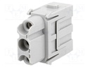 Connector: HAN; module; female; Han Modular C; PIN: 3; 40A; 690V