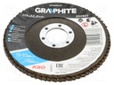 Flap grinding wheels; Ø: 115mm; Øhole: 22.2mm; Granularity: 80