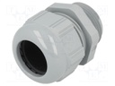 Cable gland; NPT1"; IP68; polyamide; grey