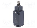 Limit switch; rubber seal,steel roller Ø13mm; NO + NC; 10A; IP67