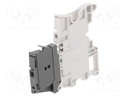 Splice terminal: rail; SNK; 0.2÷4mm2; ways: 1; terminals: 2; TS35