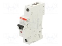 Circuit breaker; 230VAC; 220VDC; Inom: 13A; Poles: 1; Charact: B