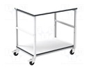 Trolley; ESD; W: 1000mm; D: 700mm; steel; light grey; 10kΩ÷100MΩ