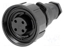 Connector: circular; plug; female; PIN: 4; Buccaneer Standard; IP68