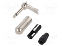 "R/A 1/4"" 2POLE PLUG"