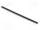 Socket; pin strips; female; PIN: 40; turned contacts; straight
