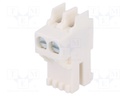 Connector: card edge; RAST 5; plug; female; straight; PIN: 2; 5mm