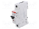 Circuit breaker; 230VAC; 220VDC; Inom: 25A; Poles: 1; Charact: K