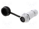 Plug; female; SF12; PIN: 5; IP67; 4÷6.5mm; 5A; soldering; for cable