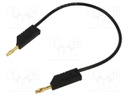 Test lead; 60VDC; 30VAC; 32A; Len: 250mm; black; Material: brass