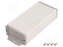 Enclosure: multipurpose; with fixing lugs,with panel; TEKAL