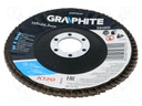 Flap grinding wheels; Ø: 125mm; Øhole: 22.2mm; Granularity: 120