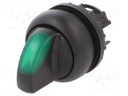 Switch: rotary; Stabl.pos: 2; 22mm; green; IP67; Pos: 2; Ø22.5mm