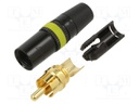 FLANGE D-SERIES