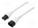 Cable; 3x14AWG; IEC C14 male,IEC C15 female; PVC; 1.8m; white; 15A