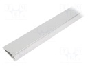 Profiles for LED modules; white; surface; natural; L: 2m; anodized