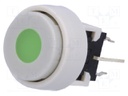 Switch: keypad; Pos: 2; DPDT; 0.1A/30VDC; white; Illumin: LED; green