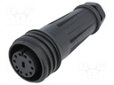 Connector: circular; plug; female; PIN: 10; Buccaneer 900; IP68