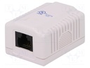 Socket; RJ45; PIN: 8; Cat: 6; unshielded,single; Layout: 8p8c; female